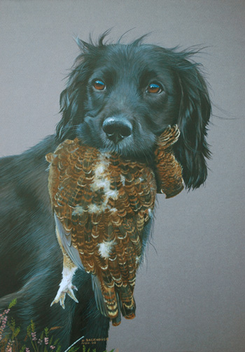 'Archie with grouse'. Watercolour by Helen Backhouse